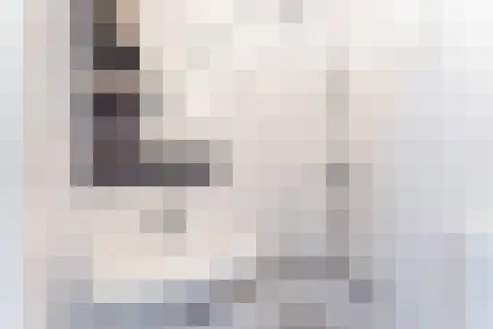 2e Daalsedijk 1 Utrecht thumbnail 17