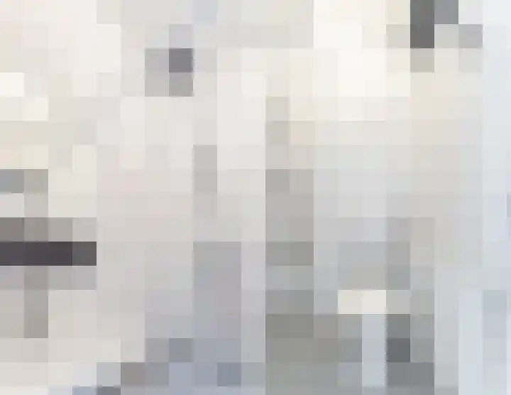 2e Daalsedijk 1 Utrecht thumbnail 18