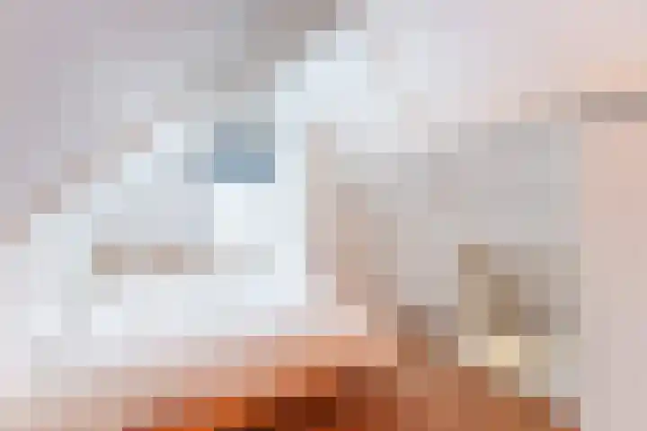 2e Daalsedijk 1 Utrecht thumbnail 20