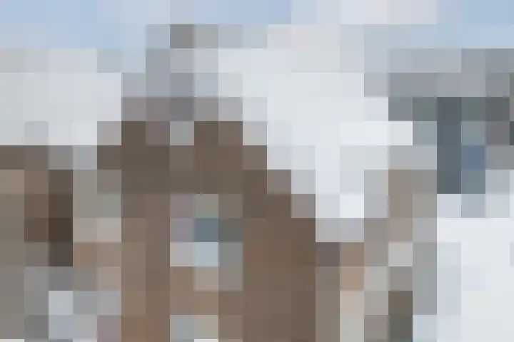 2e Daalsedijk 1 Utrecht thumbnail 26