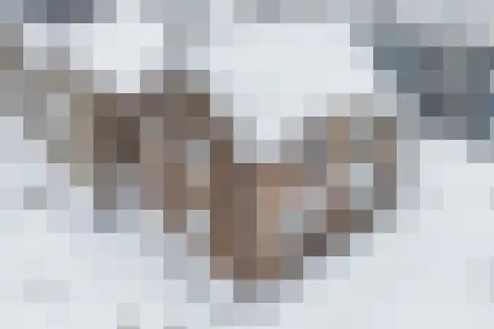 2e Daalsedijk 1 Utrecht thumbnail 28