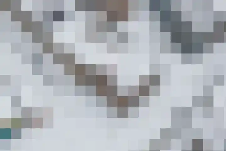 2e Daalsedijk 1 Utrecht thumbnail 30