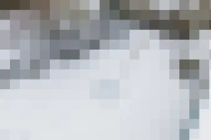 2e Daalsedijk 1 Utrecht thumbnail 32