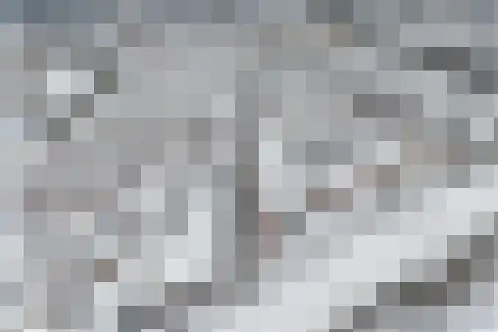 2e Daalsedijk 1 Utrecht thumbnail 34