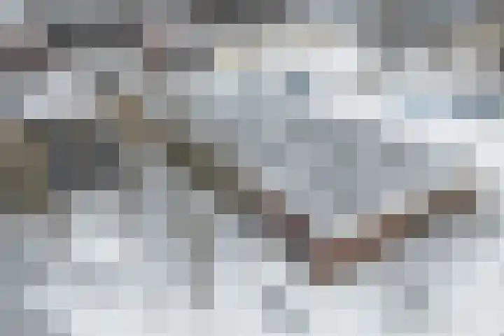 2e Daalsedijk 1 Utrecht thumbnail 35