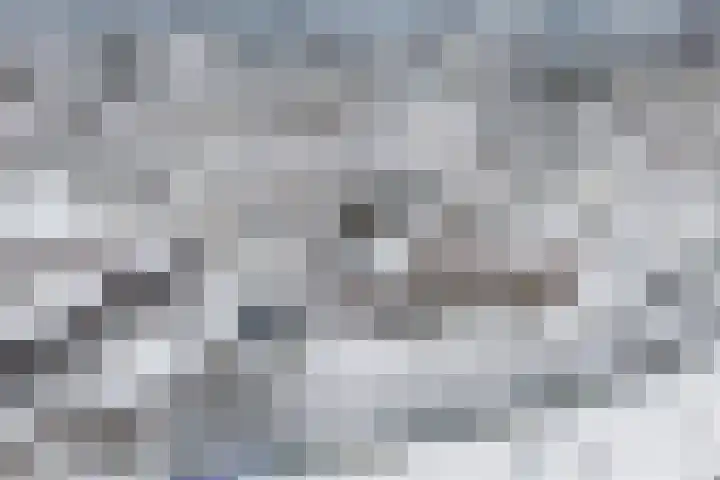2e Daalsedijk 1 Utrecht thumbnail 36