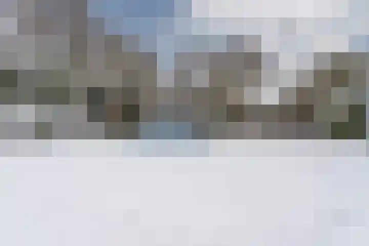 2e Daalsedijk 1 Utrecht thumbnail 37
