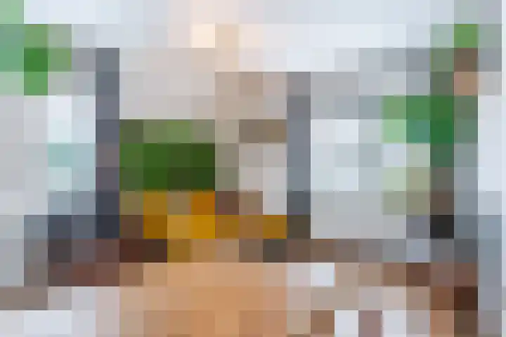 2e Daalsedijk 1 Utrecht thumbnail 7