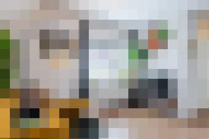 2e Daalsedijk 1 Utrecht thumbnail 8