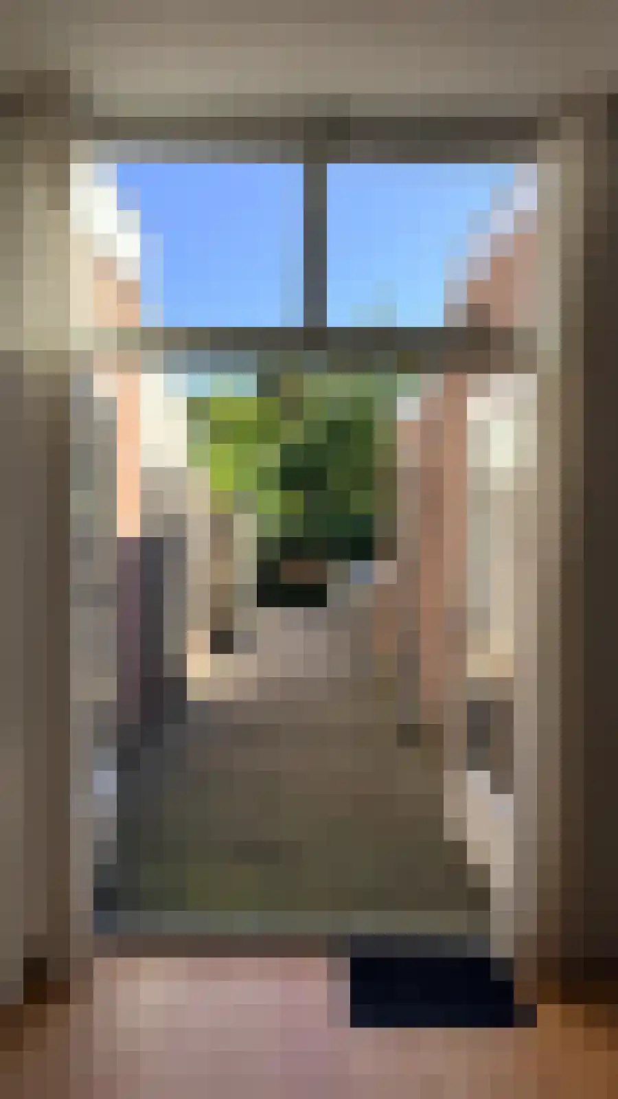 2e Daalsedijk 11 Utrecht thumbnail 5