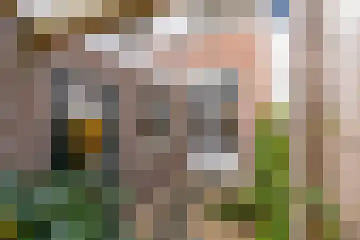 2e Daalsedijk 137 Utrecht thumbnail 24