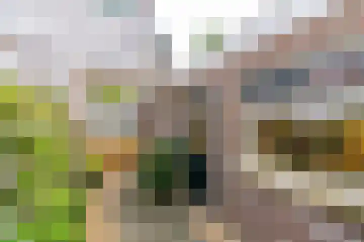 2e Daalsedijk 137 Utrecht thumbnail 25