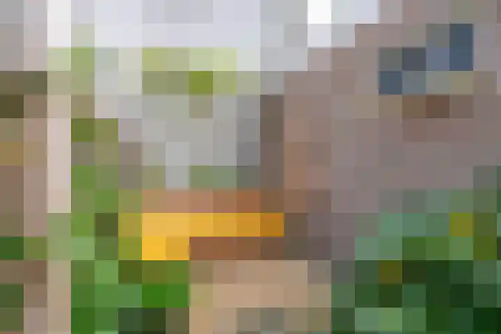 2e Daalsedijk 137 Utrecht thumbnail 26