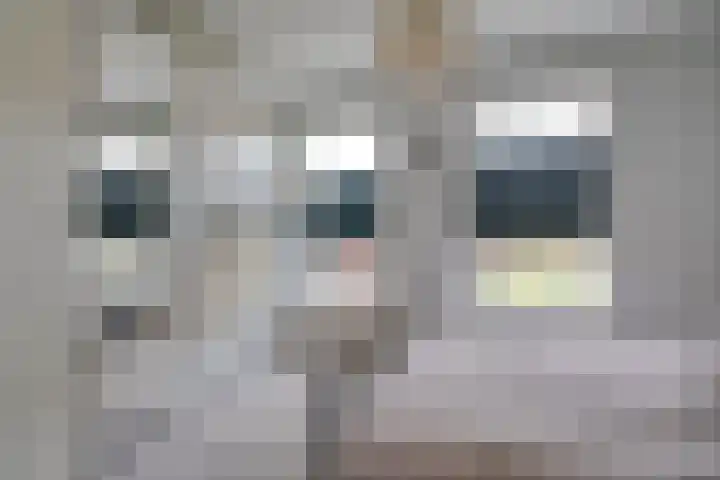 2e Daalsedijk 137 Utrecht thumbnail 29