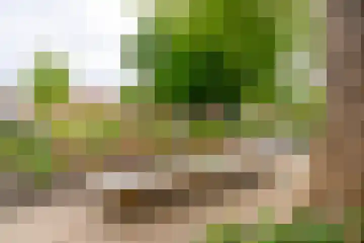 2e Daalsedijk 137 Utrecht thumbnail 49