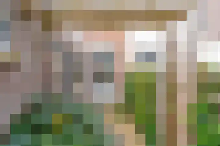2e Daalsedijk 137 Utrecht thumbnail 5