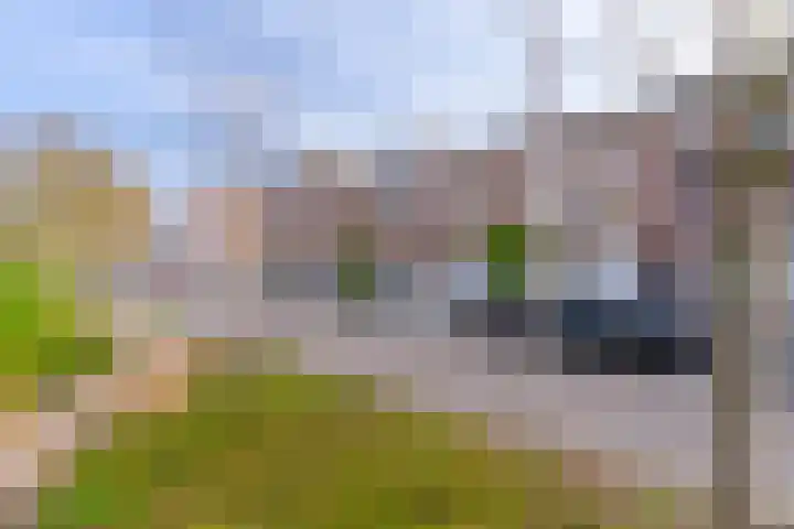 2e Daalsedijk 137 Utrecht thumbnail 6