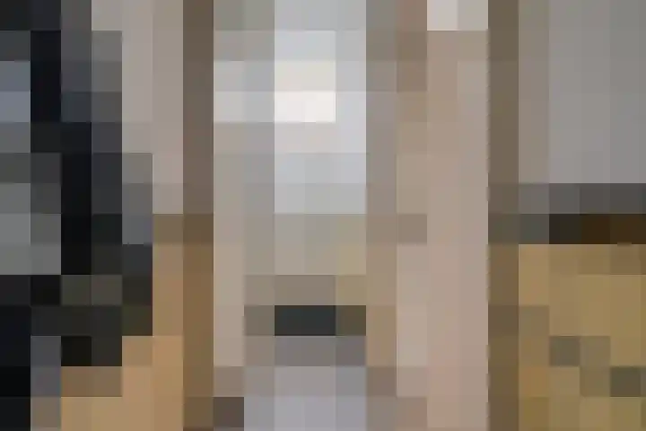 2e Daalsedijk 137 Utrecht thumbnail 9