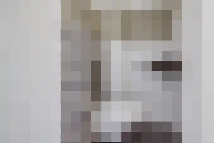 2e Daalsedijk 141 Utrecht thumbnail 11