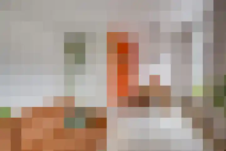 2e Daalsedijk 141 Utrecht thumbnail 15