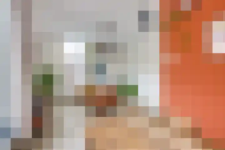 2e Daalsedijk 141 Utrecht thumbnail 16
