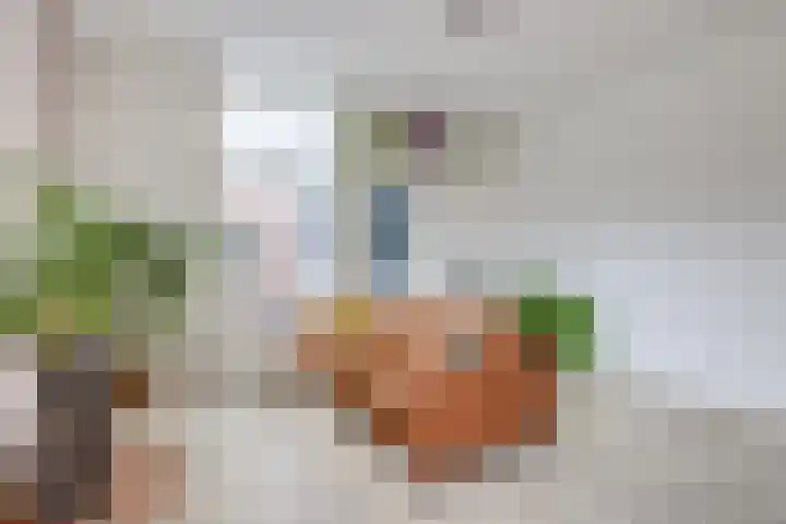 2e Daalsedijk 141 Utrecht thumbnail 17