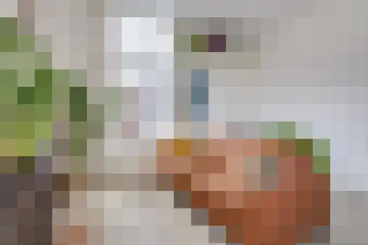 2e Daalsedijk 141 Utrecht thumbnail 19