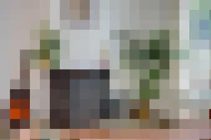 2e Daalsedijk 141 Utrecht thumbnail 20