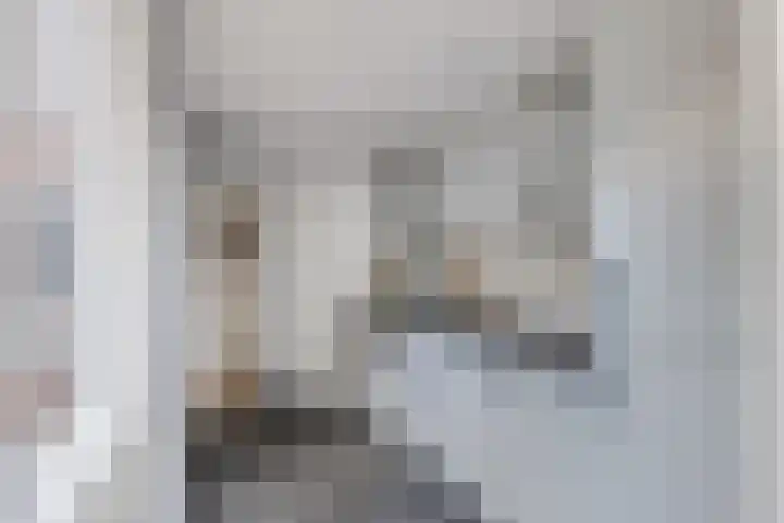 2e Daalsedijk 141 Utrecht thumbnail 21