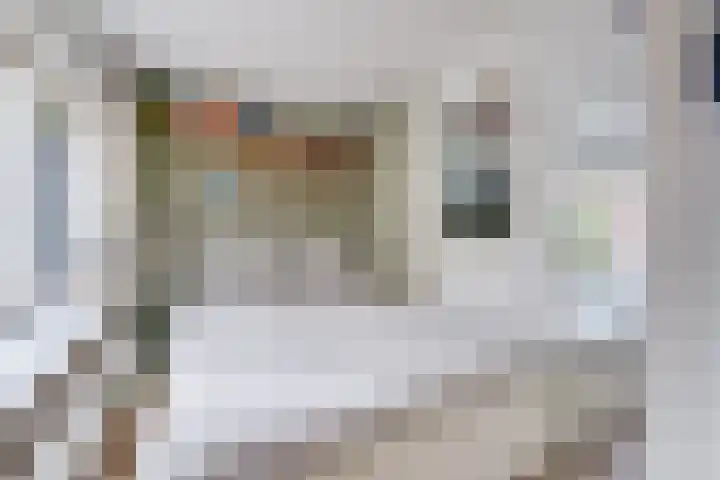 2e Daalsedijk 141 Utrecht thumbnail 34