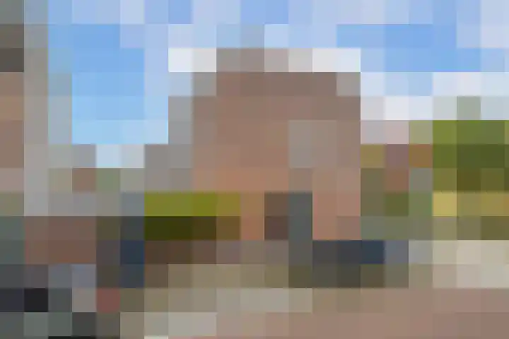 2e Daalsedijk 141 Utrecht thumbnail 4