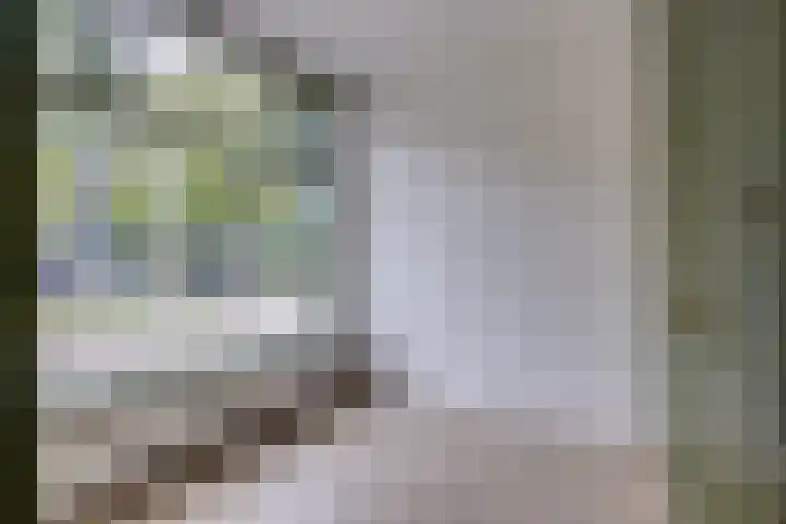 2e Daalsedijk 141 Utrecht thumbnail 7