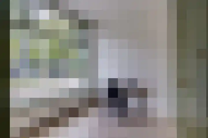 2e Daalsedijk 141 Utrecht thumbnail 8