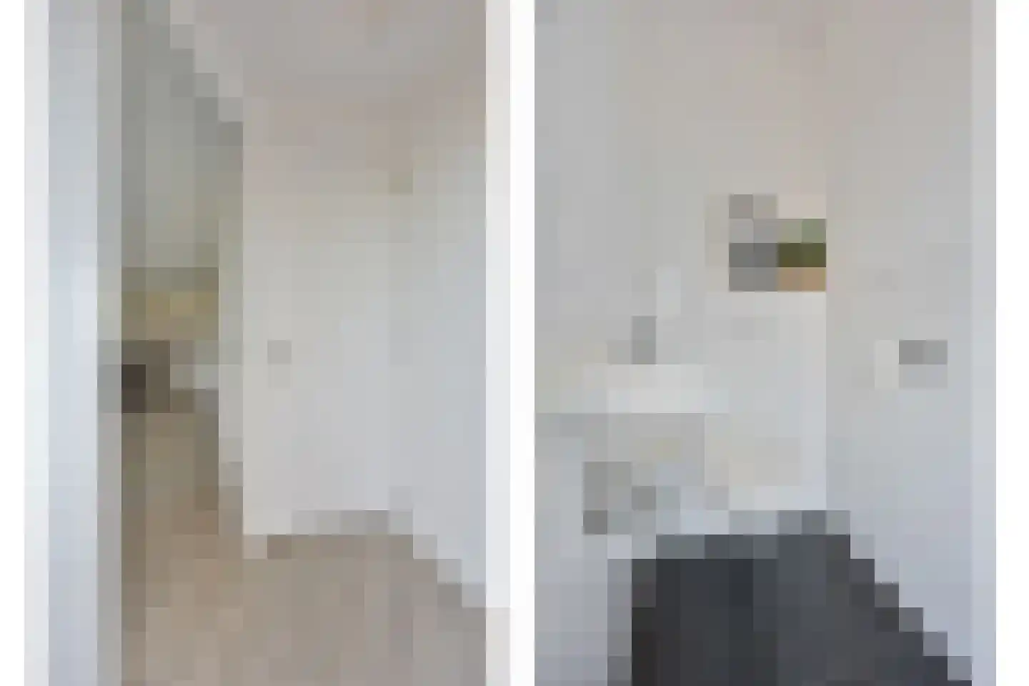 2e Daalsedijk 149 Utrecht thumbnail 11