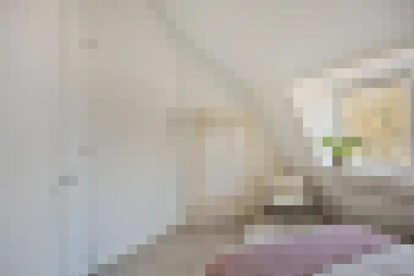 2e Daalsedijk 149 Utrecht thumbnail 12