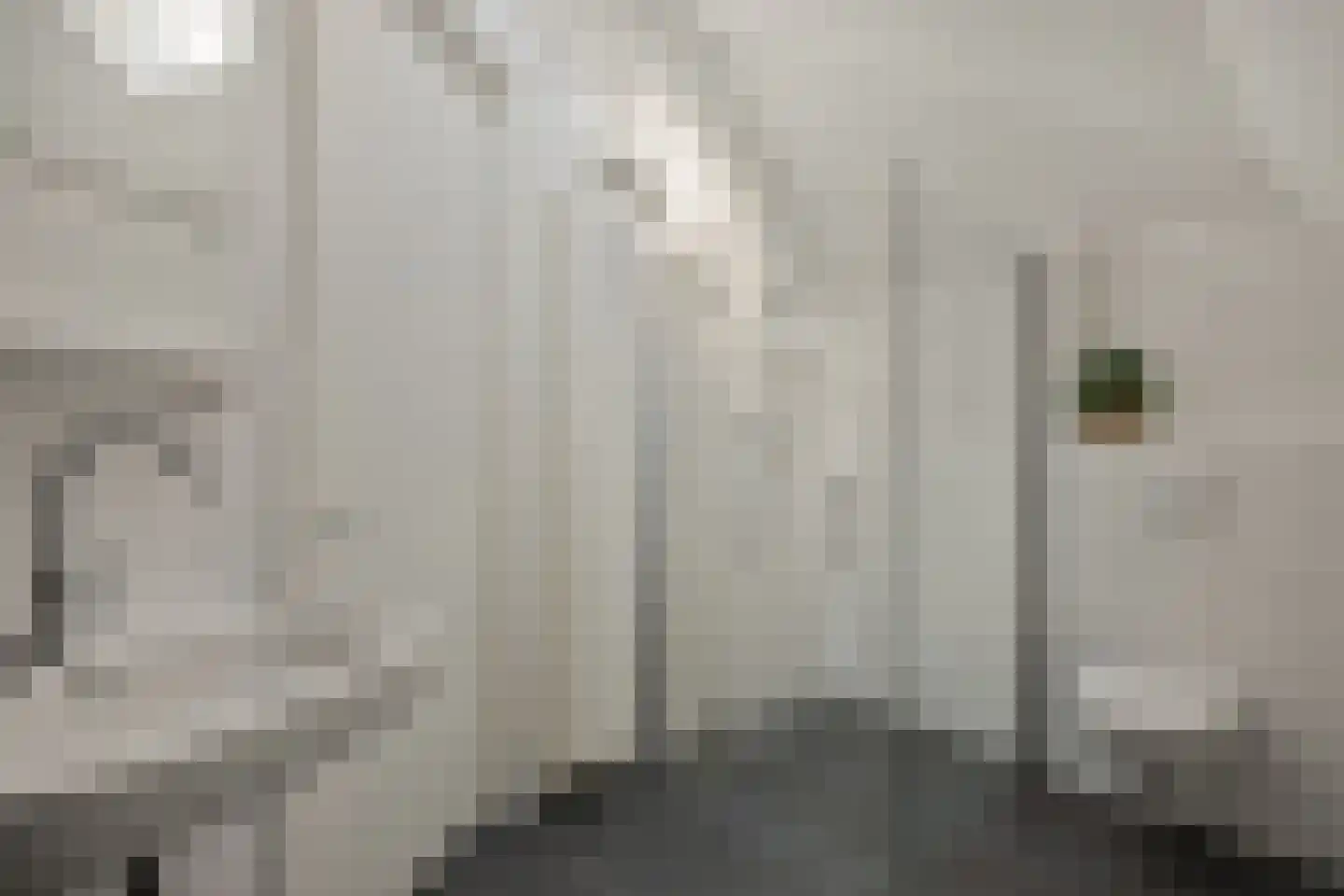 2e Daalsedijk 149 Utrecht thumbnail 13