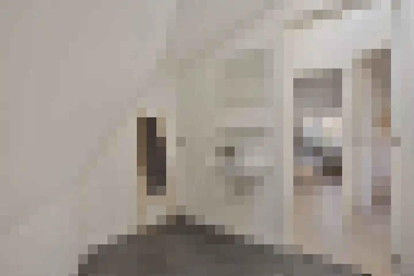2e Daalsedijk 149 Utrecht thumbnail 14