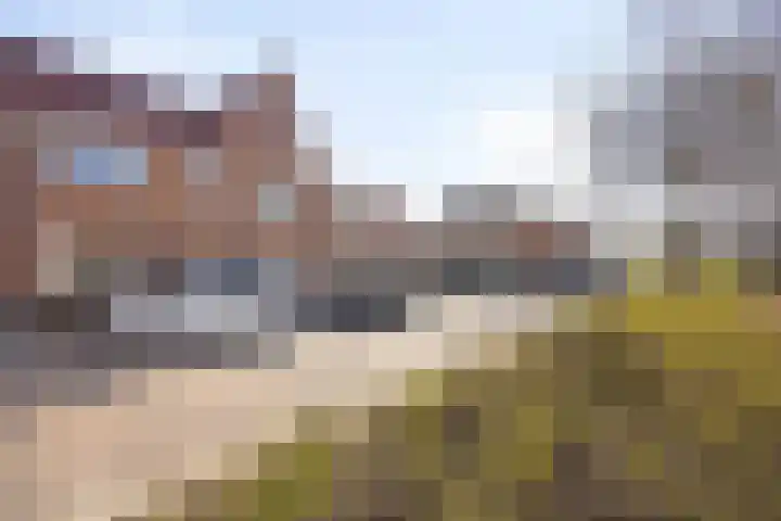 2e Daalsedijk 149 Utrecht thumbnail 19