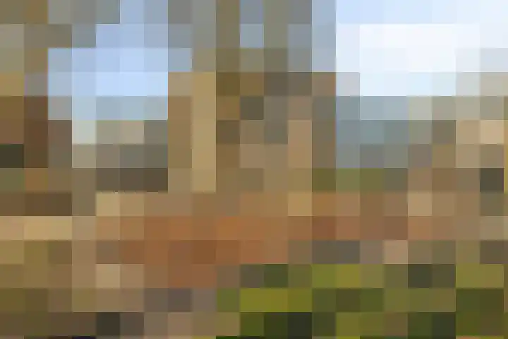 2e Daalsedijk 149 Utrecht thumbnail 20