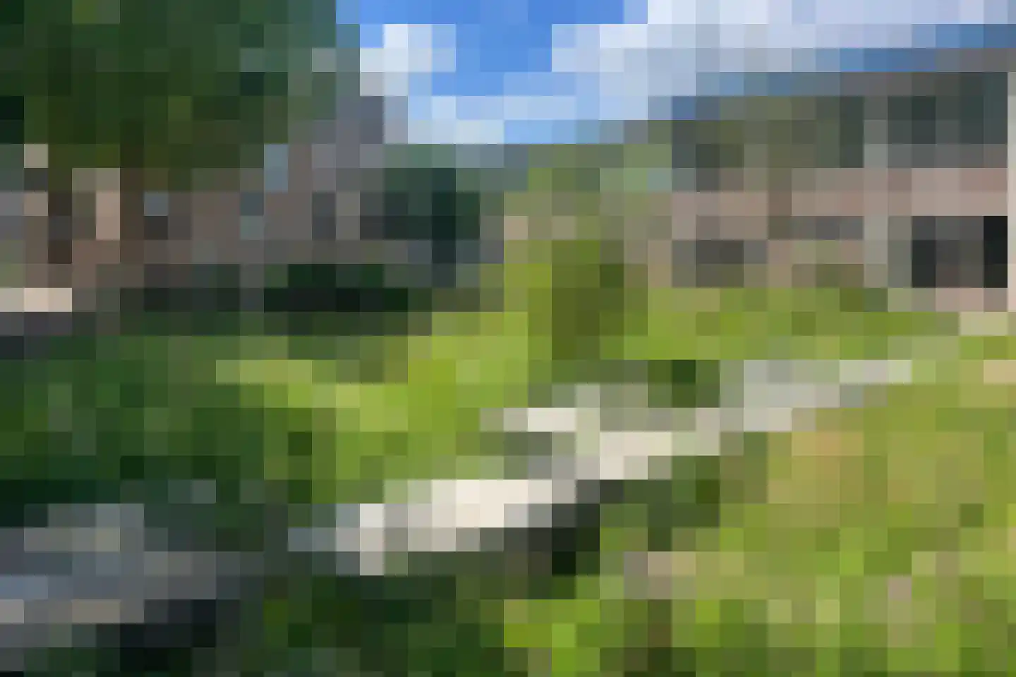 2e Daalsedijk 149 Utrecht thumbnail 20