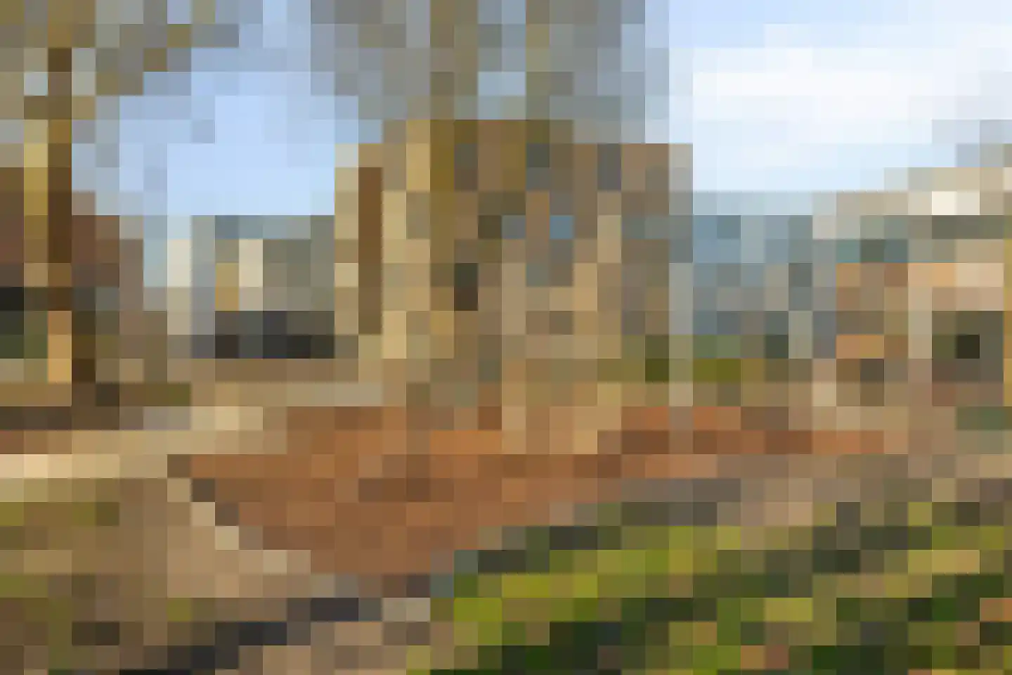 2e Daalsedijk 149 Utrecht thumbnail 20