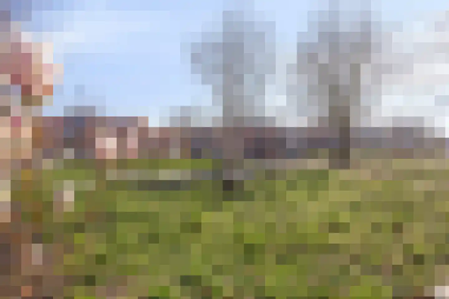 2e Daalsedijk 149 Utrecht thumbnail 22