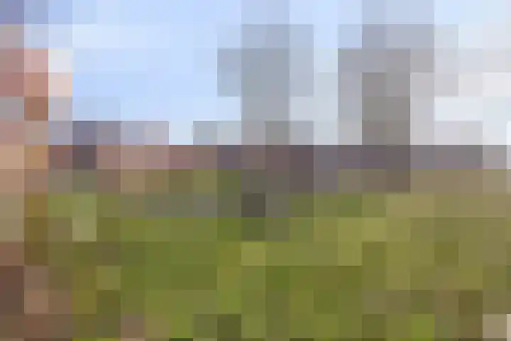 2e Daalsedijk 149 Utrecht thumbnail 22