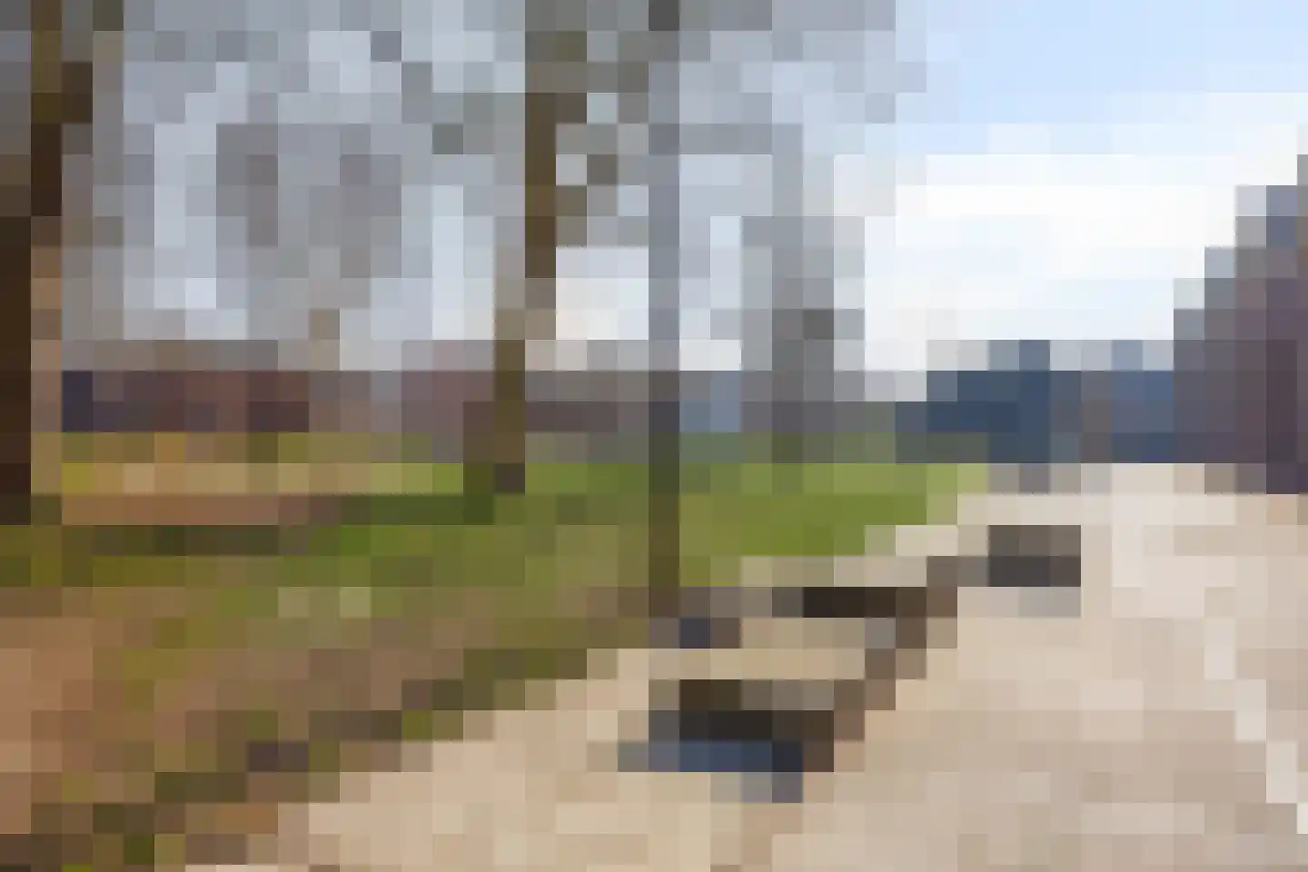 2e Daalsedijk 149 Utrecht thumbnail 24