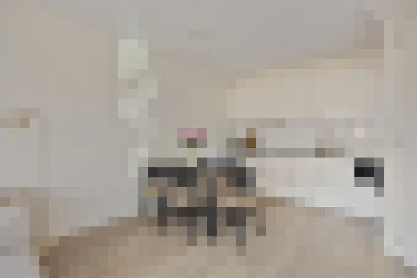2e Daalsedijk 149 Utrecht thumbnail 4