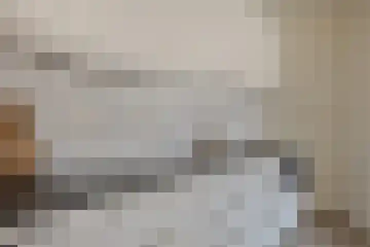 2e Daalsedijk 149 Utrecht thumbnail 8