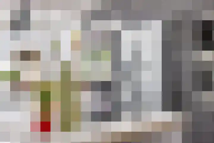 2e Daalsedijk 169 Utrecht thumbnail 10