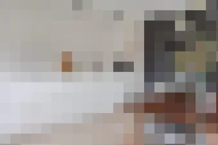 2e Daalsedijk 169 Utrecht thumbnail 16