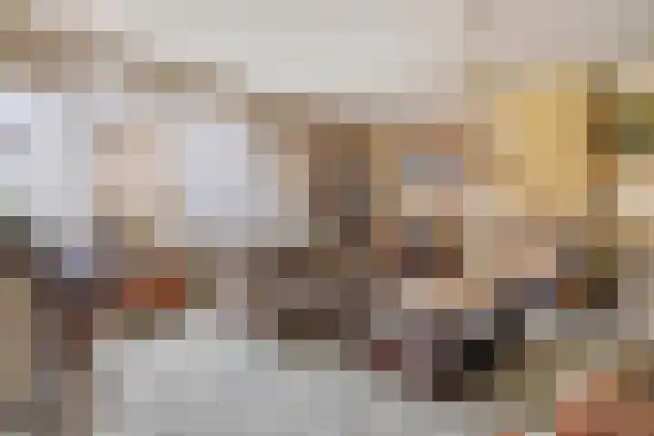 2e Daalsedijk 169 Utrecht thumbnail 17