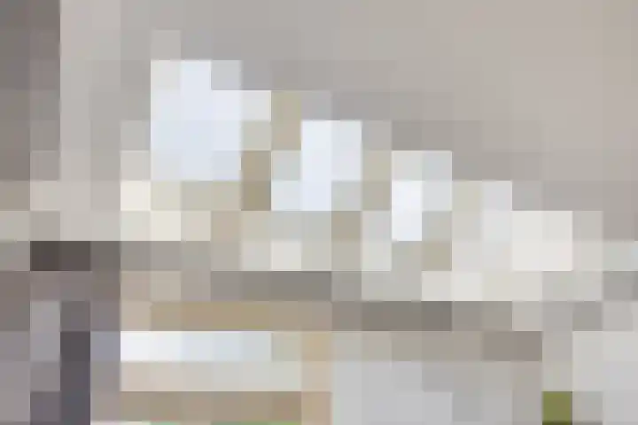 2e Daalsedijk 169 Utrecht thumbnail 17